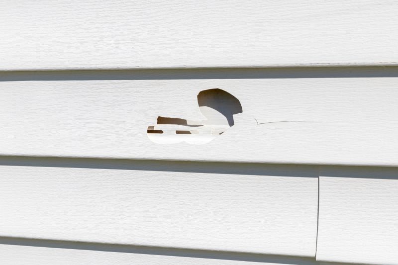 Vinyl Siding Repair Image 10